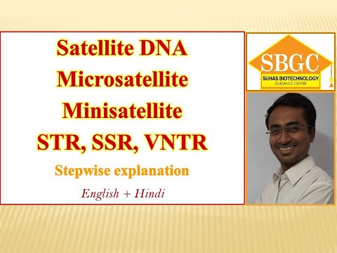 Satellite DNA, microsatellite (Short Tandem Repeats i.e. STR, SSR), minisatellite, VNTR