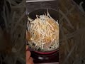【-21kg】減量末期まで飲んでたうまいスープ #shorts