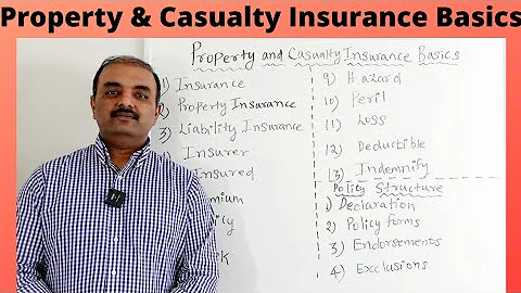 Property & Casualty Insurance Basics - DayDayNews