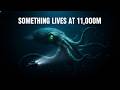What If a Giant Sea Monster Still Lives 11,000 Meters Deep?