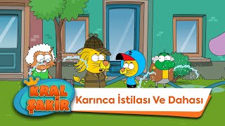 Karınca İstilası Ve Dahası - Kral Şakir
