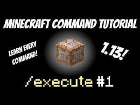 How to use the execute command in Minecraft java (1.13+)