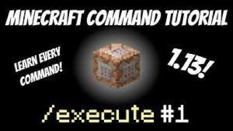 How to use the execute command in Minecraft java (1.13+)