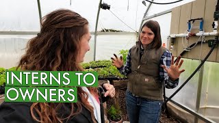 They Turned Their Farm Internship into a Successful Regenerative Farm (Verdant Acres Farm)