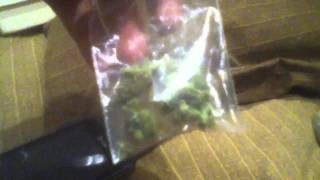 weed 101 (pt 1)