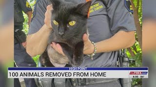 100 animals removed from home in High Point