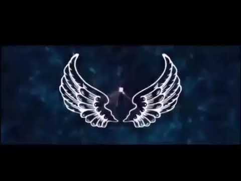 video de instruire de tranzacționare a opțiunilor binare