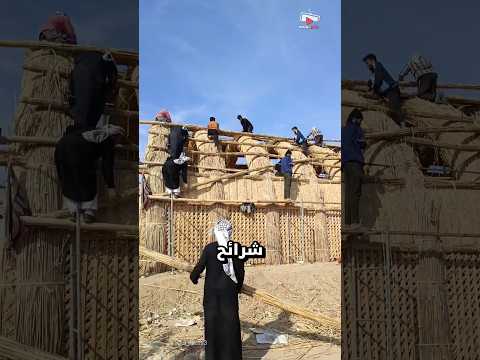 سر منازل القصب في العراق التي صمدت 5 آلاف عام دون إسمنت