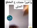 مقطع أصلي