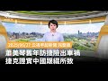 蕭美琴捷克車禍事件