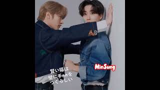 We haven't forgotten the day Jisung proposed to Minho, right?  (minsung)