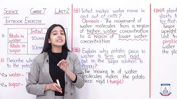 Class 7 - Science - Chapter 2 - Lecture 151 Textbook Exercise (Q 5) - Allied Schools