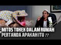 Mitos Tokek Dalam Rumah Menurut Islam , Banyak Yang Belum Tahu - Kang Masrukhan Official