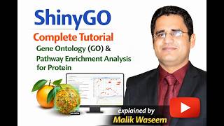 ShinyGO Complete Tutorial | Gene Ontology (GO) & Pathway Enrichment Analysis for Protein