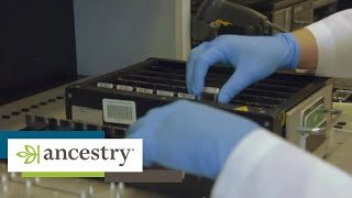 AncestryDNA | Go Behind the Scenes | Ancestry