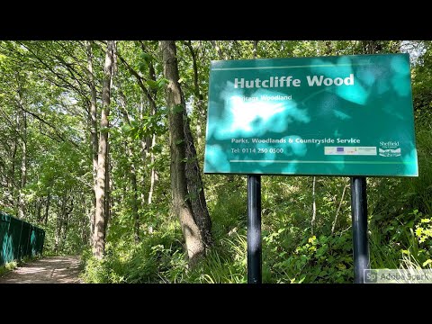 Hutcliffe Woodland Walk in Sheffield - Walk With Me, No Talking, No People Just Nature Sounds