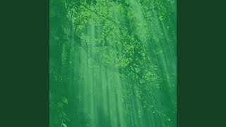 Fun Backdrops for Quiet Tranquility