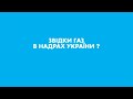 Як зароджувався газ в надрах України? | Нафтогаз