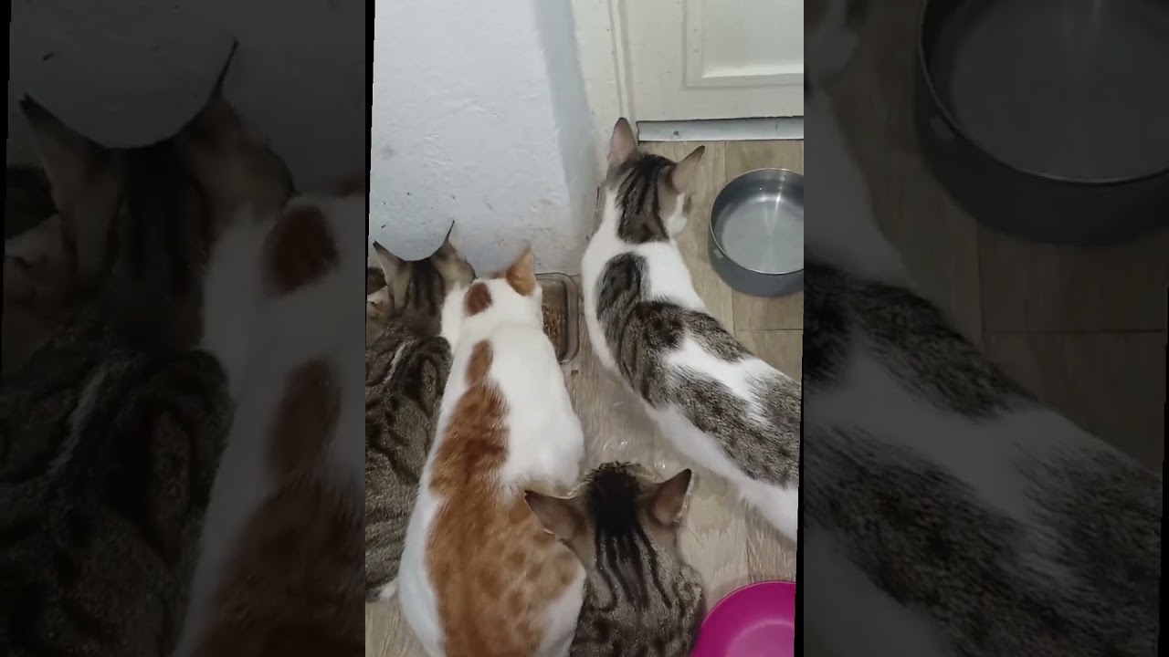 İLHAN ABİYE DESTEĞİ İÇİN ÇOK TEŞEKKÜR EDERİM 