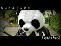 【MV】スットコドッコイ / ZipRipFuzZ (Music Video)