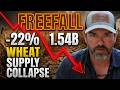 Our Food Reserves Are Vanishing THE 22% SUPPLY COLLAPSE JUST HAPPENED. 