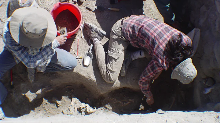 Huari Excavation 2017, Dr. William Isbell