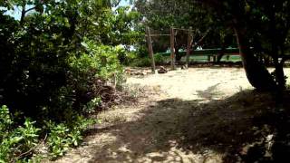 Morning Beach Shower