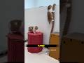 Bro Thought He Could Climb Too 😭🐱 #cat #animal #shorts #foryou