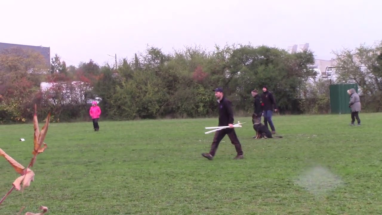 Obéissance CL3 - CHP REG Lyon - Snoop du Vallon de Bouvières