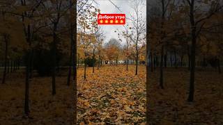 #доброеутро☀️☀️☀️ У нас 🦂🦁 сегодня праздник.