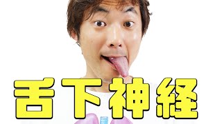 舌下神経の走行とフィジカルのパターン：副神経・舌下神経(Part.3)