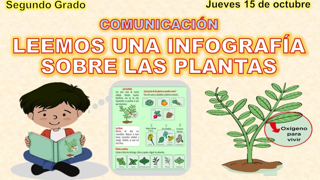 Leemos Una Infografía Sobre Las Plantas Segundo Grado Semana 28 Día 4