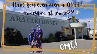 QUEEN Honeybee at Work || Arataki honey Visitor Center || NAPIER || New Zealand Vlogs