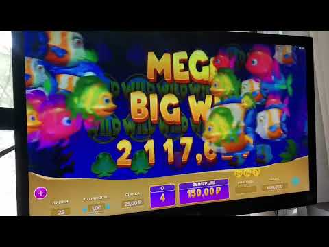 Как использовать Селектор Казино: вопросы и ответы