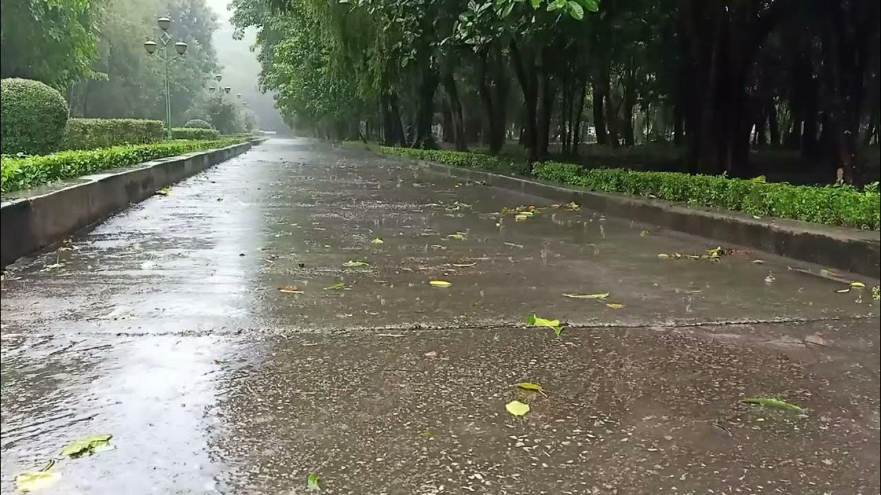 Звуки дождя для сна. Шум дождя для сна релаксация. Шум дождя для сна 10 часов без рекламы. Дождь для сна без рекламы. Звуки дождя для сна.