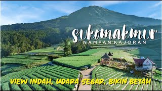 Nampan Sukomakmur Kajoran , Keindahan Terasering Negeri Sayur