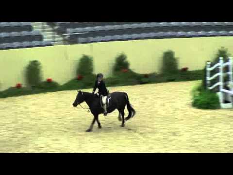 Video of JACK SULLIVAN ridden by COCKEYSVILLE from ShowNet!