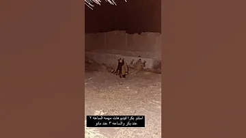 محمد اسامة خلاص مات أبو بكر البسيوني Shorts 