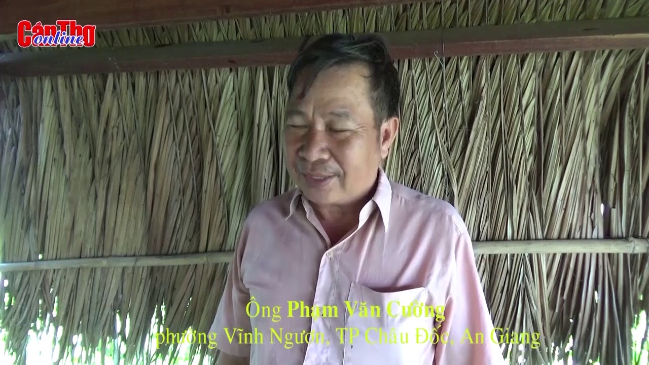 Đàn “thú cưng” độc đáo của lão nông miền Tây