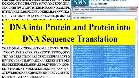 Convert DNA to Protein and Protein to DNA sequence | DNA Translation | Expasy | Reverse Translation