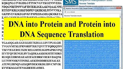 Convert DNA to Protein and Protein to DNA sequence | DNA Translation | Expasy | Reverse Translation