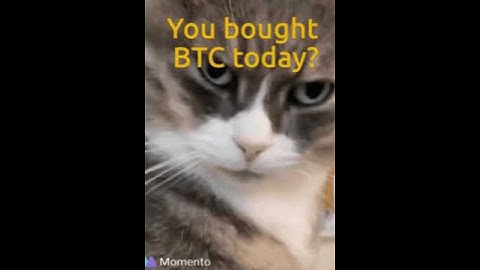 You bought BTC today CryptoMEME #shorts