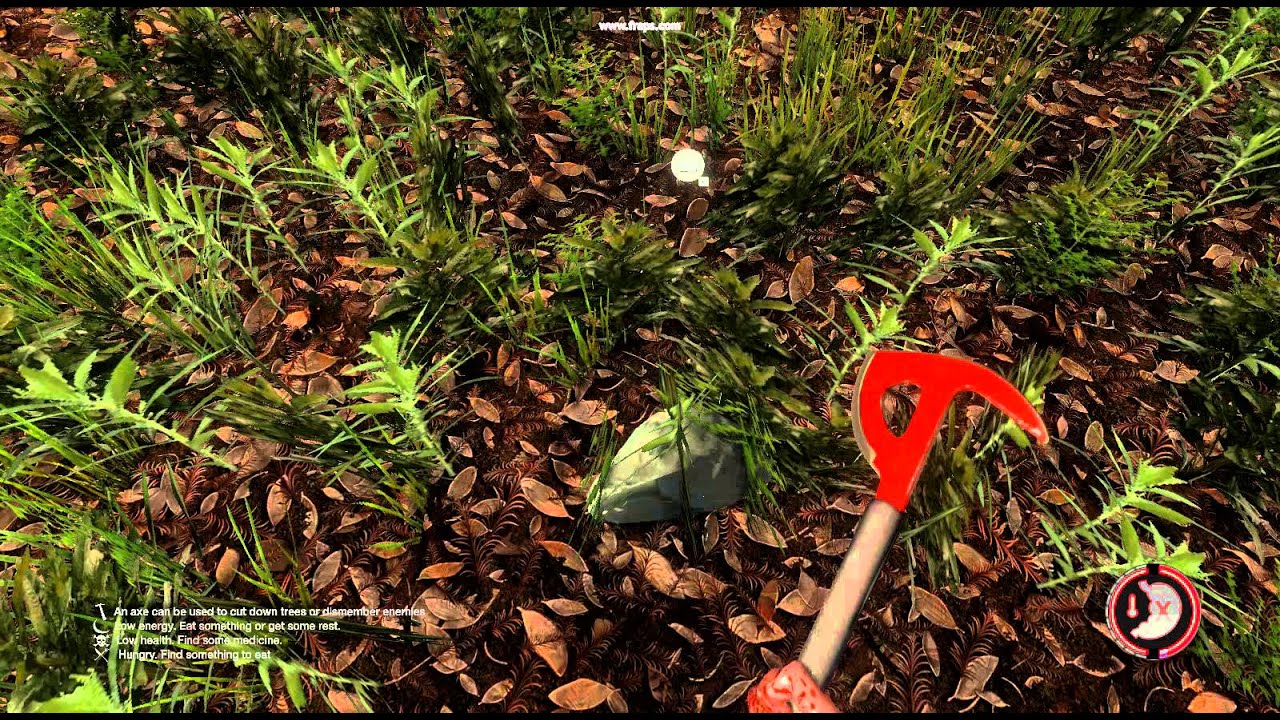 The forest FLYING BUG/GLITSCH YouTube