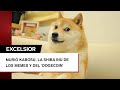 Murió Kabosu, la shiba inu de los memes y del &#39;Dogecoin&#39;