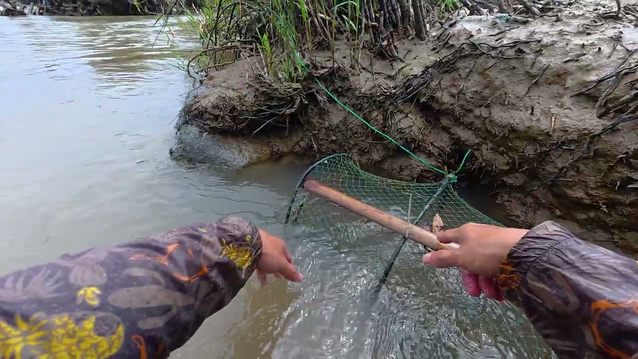 Trải Nghiệm Lần Đầu Đi Thu Lợp Cá ở map Hành Tinh Xanh 🏕️