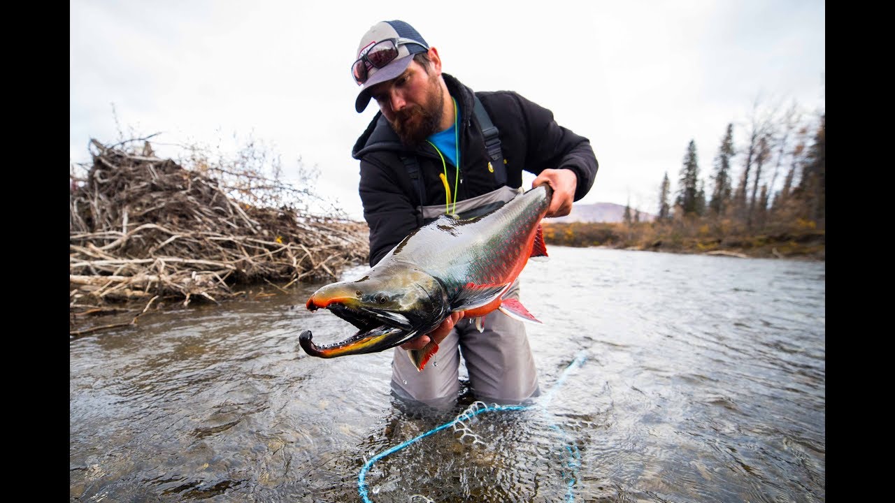 Северное сияние, прохождение бездорожья и трофейные тележки