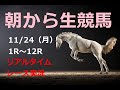 【競馬実況】 生配信!! Horse Racing Commentary as huge as a horse’s !(東京、京都、福島)