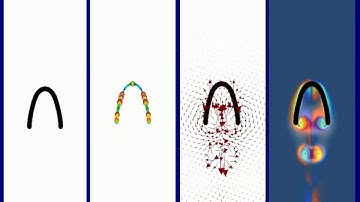 IB2d Simulation: Jellyfish Locomotion