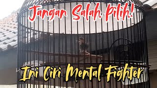3 Characteristics of a Mentally Good Prenjak Fighter That You Must Know!