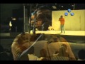 josmar flores gira oaxaca 2006